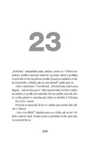 0030006455_strana_244.jpg