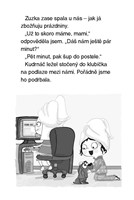 0033087123_julinka-a-jeji-zviratka-7-zat