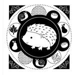 0029812507_zarive-obrazky-zviratka-v-les