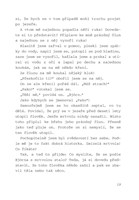 0033638801_dvojcata-aneb-chaos-na-druhou