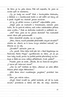 0033638801_dvojcata-aneb-chaos-na-druhou