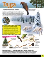 0033870044_zazracna-priroda-lesy-a-prale