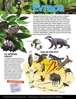 0033870044_zazracna-priroda-lesy-a-prale