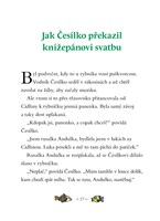 0034194745_cesilkova-vodnicka-knizka-101