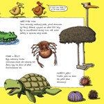 0033639598_jak-dinosauri-funguji-101f0f1