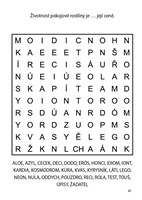 0034242964_lusteni-na-cesty-oranzova-101