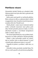 0033909454_klub-tygru-prizrak-cerneho-ob