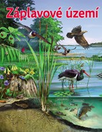 0035287575_zazracna-priroda-reky-a-jezer