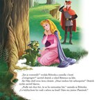 0035594971_Povidani-o-princeznach-cz-lis