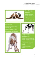 0033909960_gramatika-v-obrazcich-anglict