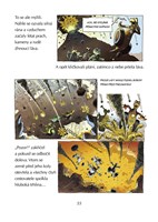 0033438516_velosauri-honba-za-pokladem-1