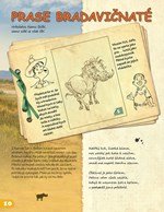 0034057511_expedice-afrika-bob-a-tom-101