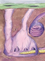 0035854850_soptici-jsou-bombovi-101f0f97