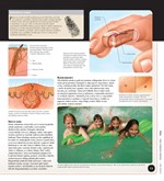 0035853517_velka-encyklopedie-3D-lidske-