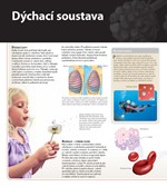 0035853517_velka-encyklopedie-3D-lidske-