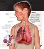 0035853517_velka-encyklopedie-3D-lidske-