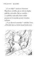 0034831048_tajuplne-kralovstvi-2-udoli-j