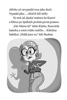 0035140258_strasidelna-knihovna-ztraceny