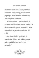 0034775183_zviratka-z-kouzelneho-lesa-po