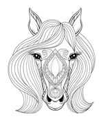 0037289340_zapisnik-pro-holky-kone-a-man