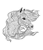 0037289340_zapisnik-pro-holky-kone-a-man