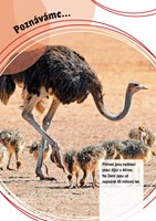 0037785077_poznavame-zvirata-v-divocine-