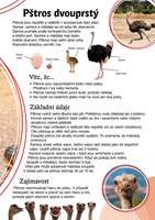 0037785077_poznavame-zvirata-v-divocine-