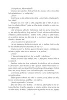 0033438610_nelitostna-101f0f10407-list-0