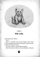 0035002469_tigri-srdce-princ-dzungle-a10