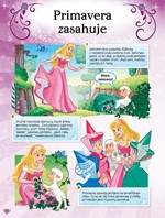 0040429055_princezna-knizka-na-cely-rok-