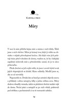 0037981137_cerne-klubko-a101f0f14001-lis