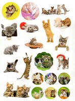 0039754850_aktivity-s-nalepkami-hrave-ko