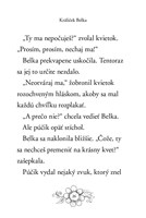 0035369140_zvieratka-z-kuzelneho-lesa-kr