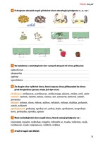 0038052681_diktaty-trochu-jinak-6.-a-7.-