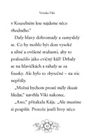 0037289217_zviratka-z-kouzelneho-lesa-ve