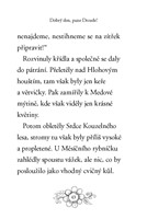 0037289217_zviratka-z-kouzelneho-lesa-ve