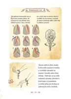 0043020014_na-vlasku-pruvodce-svetem-odv