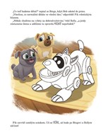 0042902432_kamosi-hafici-vcn-cz-list-04.