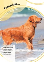 0037784985_poznavame-domaci-mazlicci-a10