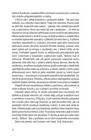 0041329989_Sen_letici_zelvy_ukazka_Page_