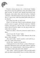 0040427370_z-koure-a-kamene-a101f0f15869