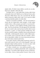 0040427370_z-koure-a-kamene-a101f0f15869