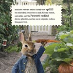 0046842062_kralicek-petr-bitva-o-zahradk