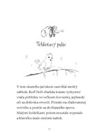 0039969132_zazracna-balerina-delfi-a-kuz