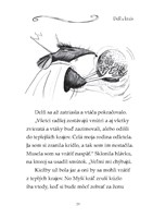 0039969132_zazracna-balerina-delfi-a-kuz
