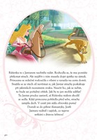 0046841959_nove-princezny-sipkova-ruzenk