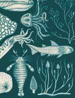 0044850704_pribeh-zivota-press-a10110f16