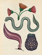 0044850704_pribeh-zivota-press-a10110f16