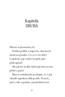 0041336584_kouzelni-ponici-2-velke-prani