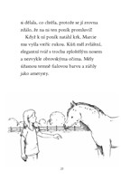 0041336584_kouzelni-ponici-2-velke-prani